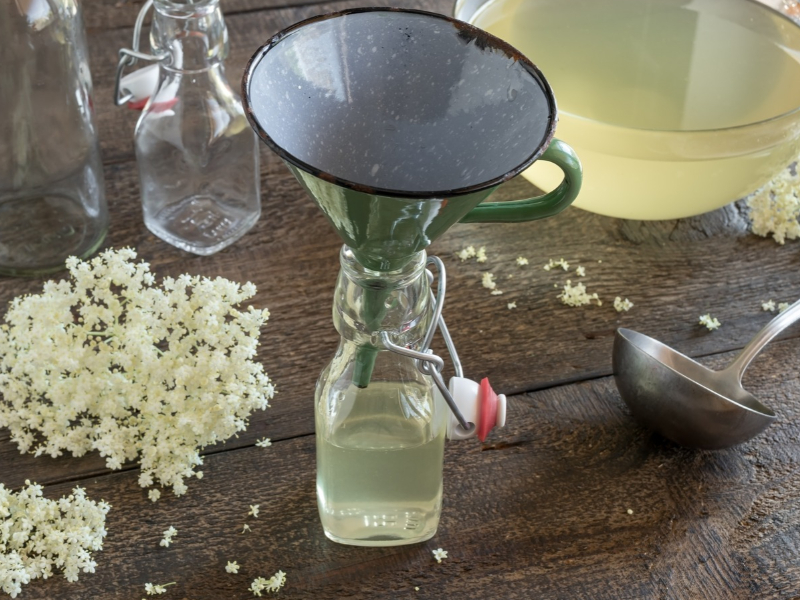 Preparation of Homemade Elderflower Syrup