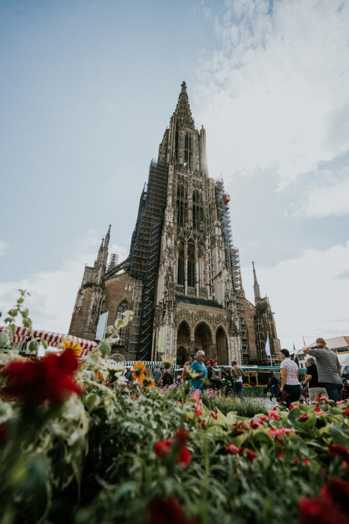 Wochenmarkt vor dem Ulmer Münster in Ulm.
