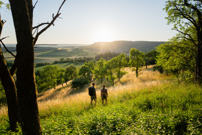 Wandern auf dem Früchtetrauf